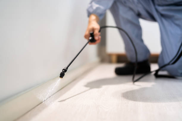 Licensed Termite Control service in Carey, OH - Nex Pest Control