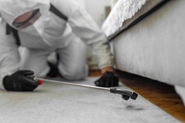 Professional Termite Control technician working in Carey, OH