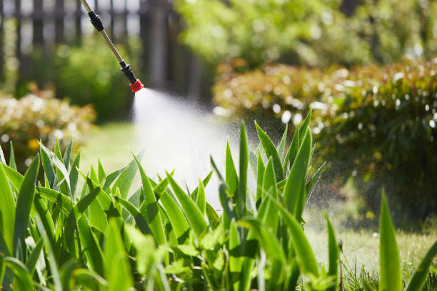 24/7 Emergency Termite Control experts in Carey, OH