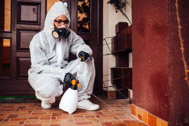 Reliable Termite Control contractor in Carey, OH by Nex Pest Control