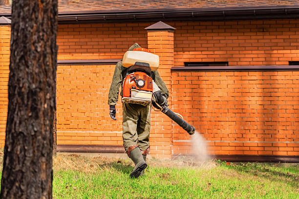 Top rated local Termite Control specialists in Carey, OH